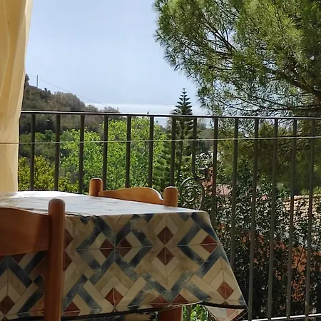 La Dipladenia